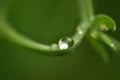 Close up macro shot water drop Royalty Free Stock Photo