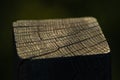 Close up Macro shot of a wooden log - a pole at sunset A small cone of light shining on wood