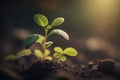 Close up macro shot of young plant growing on earth. Spring time concept with copy space for text. Generative AI illustration Royalty Free Stock Photo