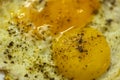 Macro of single fried egg with salt and pepper sprinkled on it