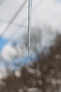 Close up macro of a single long sharp icicle hanging from a wire against a blurred winter forest background Royalty Free Stock Photo