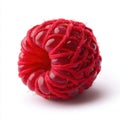 Close up Macro Of A Single Red Raspberry Decorated With Red And Gold Glitter Thread On A White Background With Soft Studio Royalty Free Stock Photo