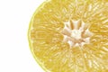 Close up macro slice of fresh orange isolated on white background in clipping path.