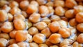 Close-up macro soaked chickpeas