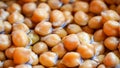 Close-up macro soaked chickpeas
