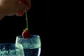 Close up, macro. Someone puts strawberries in a glass with sizzling wine. Isolated on black background. Copy space Royalty Free Stock Photo