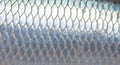 Close-up Macro Texture of Reflective Silver Fish Scales Seamless Pattern Royalty Free Stock Photo