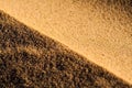Close up macro texture of sand dune Royalty Free Stock Photo