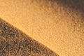 Close up macro texture of sand dune Royalty Free Stock Photo