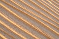 Close up macro texture of sand dune Royalty Free Stock Photo