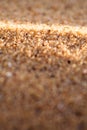 Close up macro texture of sand dune Royalty Free Stock Photo