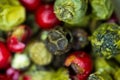 Close-up macro a vibrant mix of green, red, and black peppercorns. Royalty Free Stock Photo