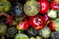 Close-up macro a vibrant mix of green, red, and black peppercorns. Royalty Free Stock Photo