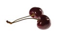 Close up macro view of beautiful cherry berry isolated on white background Royalty Free Stock Photo