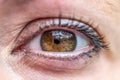 Close up macro view of a brown woman eye pupil retina with makeup Royalty Free Stock Photo
