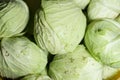 Close up macro view of green cabbages. Vegetarian food concept. Royalty Free Stock Photo