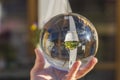 Close up macro view of hand holding crystal ball with inverted image of hanging basket  with yellow purple pansies. Royalty Free Stock Photo