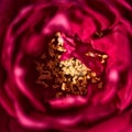 Close up view of a red flower.