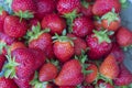 Close up macro view of red ripe strawberries isolated  on background. Royalty Free Stock Photo