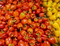 Close up macro view of red yellow orange paprika. Healthy food concept.