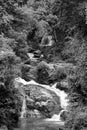 Close up of Mae-sa Waterfall Tier 4 in Chiangmai in monochrome Royalty Free Stock Photo