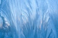 Close-up blue winter frosty pattern similar as feathers or leaves, on window. Royalty Free Stock Photo