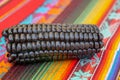 Close up of Maiz Morado, Purple Corn, Zea mays indurata, k\'culli or Black Aztec Corn on a traditional colourful peruvian