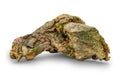 A close-up makro photo of a beautifull rock with growing green from Iceland