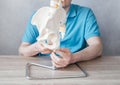 Close up of male doctor& x27;s hand showing ischial tuberosity or sit bones on pelvic girdle model, pelvic pain sydrome Royalty Free Stock Photo