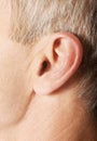 Close up on male ear Royalty Free Stock Photo