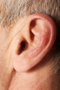 Close up on male ear Royalty Free Stock Photo