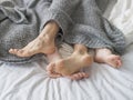 Close up of male and female feet on a bed - Loving couple under grey blanket in the bedroom - Concept of sensual and Royalty Free Stock Photo