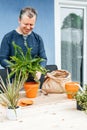 Close-up of a male gardener, florist transplanting a homemade fern into a clay pot. Hands holding home flower