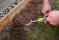 Close up of male gardener& x27;s hands holding scoop trowel full of soil, spreading dirt out on ground beside lawn.