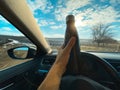 Close-up of male hand holding black stainless thermo eco water bottle inside car, on background of steering wheel and blue sky.