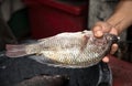 Close up male hand holding fish prepared for cooking in Bangkok, Thailand Royalty Free Stock Photo
