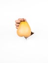 Man hand holding a delicious pear Royalty Free Stock Photo