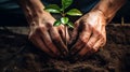 Close up Male hand planting young tree in the garden in the morning. Generative AI Royalty Free Stock Photo