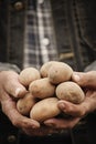 Close-up of male hands holding a potato