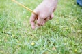 Close up of male hands pegging down a tent on grass. Royalty Free Stock Photo