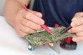 Close up of male hands repairing of electronic, circuit board with multimeter tester Royalty Free Stock Photo