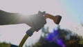 Close up of male holding hose and watering plant in garden. Man hand spraying water on green pine tree. Gardener working Royalty Free Stock Photo