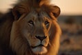 Close up of a male lion looking at camera, ai-generated artwork