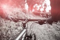 Close-up of male mountain biker riding bicycle Royalty Free Stock Photo