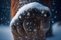 close-up of a mammoth's paw with snowflakes falling around it