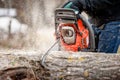 Close-up of man cutting trees from forest with chainsaw Royalty Free Stock Photo