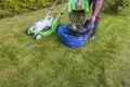 Close up of man emptying lawn mower basket after cutting grass in garden. Royalty Free Stock Photo