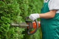 Close up of man hand with hedge trimmer cutting bushes.