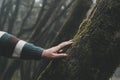 Close up of man hand touching softly a tree trunk with green musk. Concept of environment and nature protection people lifestyle.