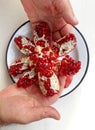 Top view of man hands holding a peeled pomegranate Royalty Free Stock Photo